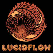 Lucidflow