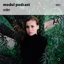 [Electronica Podcast] Modul - Ceder