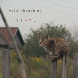 [ca295] Yoko Absorbing - Vinyl