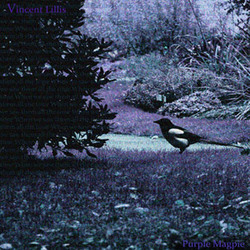 [RRR139] Vincent Lillis - Purple Magpie