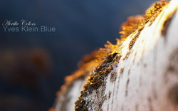 [kahvi277] Acrilic Colors - Yves Klein Blue