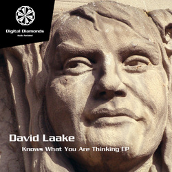 [dd013] David Laake - Knows What You Are Thinking EP