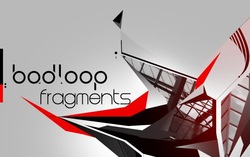 [sfp11] Bad loop  - Fragments