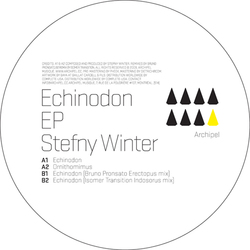 [archpl019] Stefny Winter  - Echinodon EP