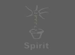 [Neuroplant 16] Neuroplant 16: Spirit