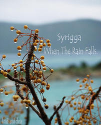 [L&C25] Syrigga - When The Rain Falls