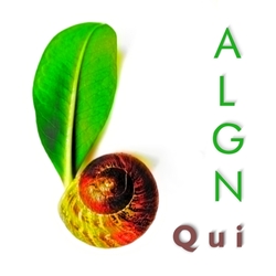 [epa063] Algn - Qui