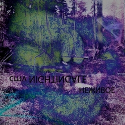 [umpako-62] Cmv Nightingale - Nezhivoe