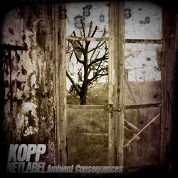[kopp06] Various Artists - Ambient Consequences