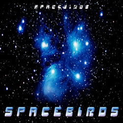 [lv001] Spacebirds - Spacebirds