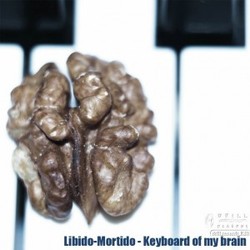 [drillrecords061] Libido-Mortido - Keyboard of my brain
