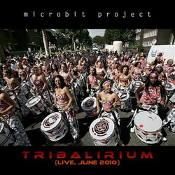 [SSRDJ-MIX017G] Microbit Project - Tribalirium (Live Mix 2010)