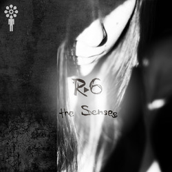 [candl25] R6 - The Senses