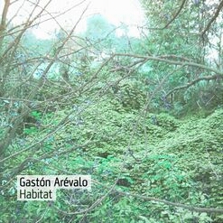 [PASS 009] Gaston Arevalo - Habitat