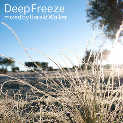 [swm078] Harald Walker - Deep Freeze 