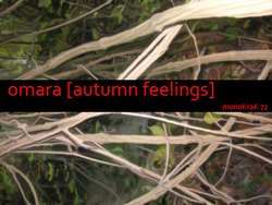 [monoKraK71] Omara - Autumn Feelings