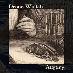 [wh141] Drone Wallah  - Augury