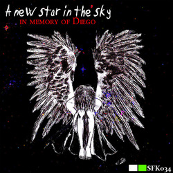 [sfk034] Various Artists - A New Star In The Sky