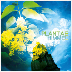 [dbplt02] Plantae - Himmel