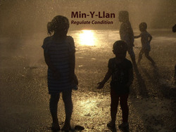 [S27-061] Min-Y-Llan - Regulate Condition
