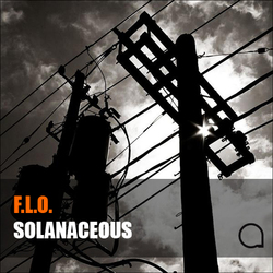 [art025] F.L.O. - Solanaceous