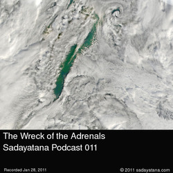 [Sadayatana 011] The Wreck of the Adrenals
