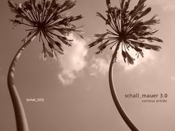 [schall_023] Various Artists  - Schall_mauer_3.0 Anniversary compilation