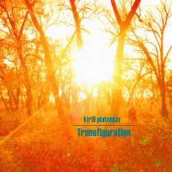 [wh179] Kirill Platonkin  - Transfiguration