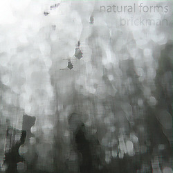 [l&c 48] Brickman  - Natural Forms