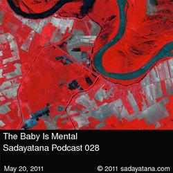 [sadayatana podcast #28] The Baby Is Mental