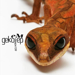 [deepx139] EM  - Geko EP