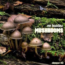 [deepx140] Mr Kaidzu  - Mushrooms