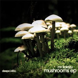 [deepx140LL] Mr Kaidzu - Mushrooms EP