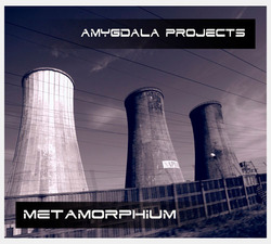 [bfw140] Amygdala Projects  - Metamorphium