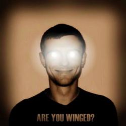 [tuk 07] Kirill Platonkin - Are You Winged?