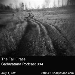 [sadayatana034] The Tall Grass