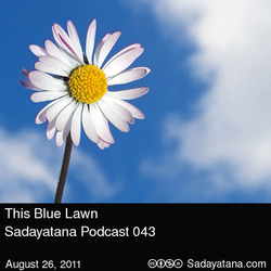 [Sadayatana043] This Blue Lawn