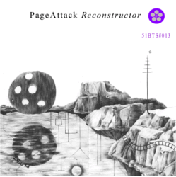 [51bts013] Page Attack - Reconstructor