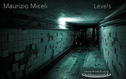 [podcast-039] Maurizio Miceli - Levels