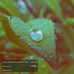 [SLNT031] Aphotic Starfield - Illumination In D-Minor