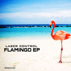[deepx162] Laser Control - Flamingo EP