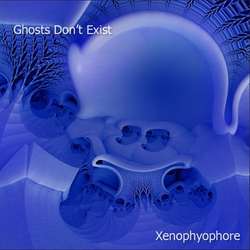 [BOF-023] Ghosts Don't Exist - Xenophyophore