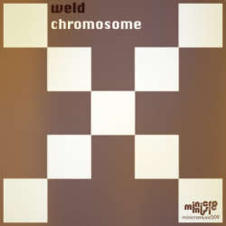 [minicromusic009] Weld - Chromosome