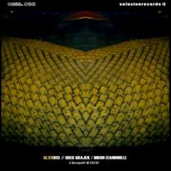 [SLXR013] Greg Grajek - Diruo Itanimulli EP