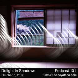 [Sadayatana 101] Delight In Shadows