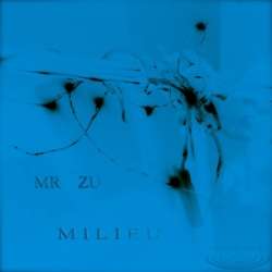 [did-074] Mr Zu - Milieu