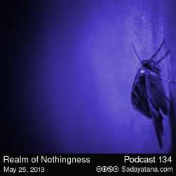 [Sadayatana 134] Realm of Nothingness