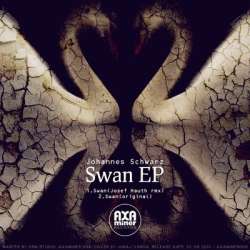 [Axaminer006] Johannes Schwarz - Swan EP