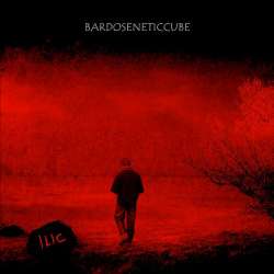 [SD013] Bardoseneticcube - ILIC