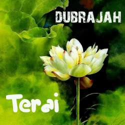 [SD028] DubRaJah - Terai